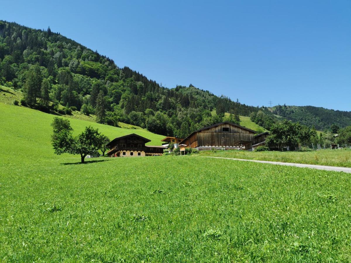 Fusch an der Grossglocknerstrasse Entfeldhof - Familie Schernthaner מראה חיצוני תמונה